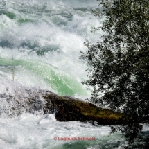 Rheinfall bei Schaffhausen und bei Neuhausen