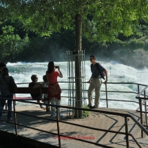 Rheinfall bei Schaffhausen und bei Neuhausen