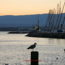 Rhone Fahrradtour, Genfer See