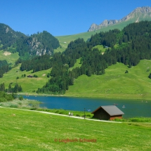 Schwarzsee