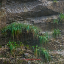 Taminaschlucht-Bad-Pfäfers-0009