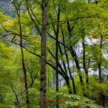 Taminaschlucht-Bad-Pfäfers-0016