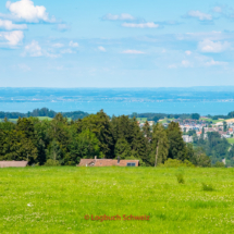 Fernsicht vom Fürstenland zum Bodensee