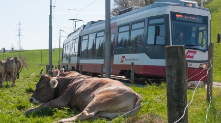 Trogenbahn Radtour