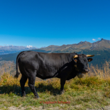 Val-d-Hérens-0030