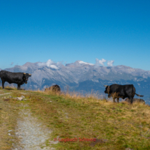 Val-d-Hérens-0034