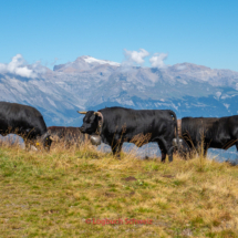 Val-d-Hérens-0036