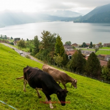 Ägerisee